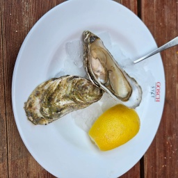 nordsee rundreise 2023_82